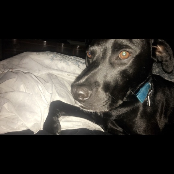 Meet your Posher, Julia - Picture 1 of 1